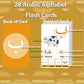 Yiydong Arabic Flash Cards For Beginners, Learn Arabic Alphabet For Kids, Teens And Adults, Educational Language Learning Resour
