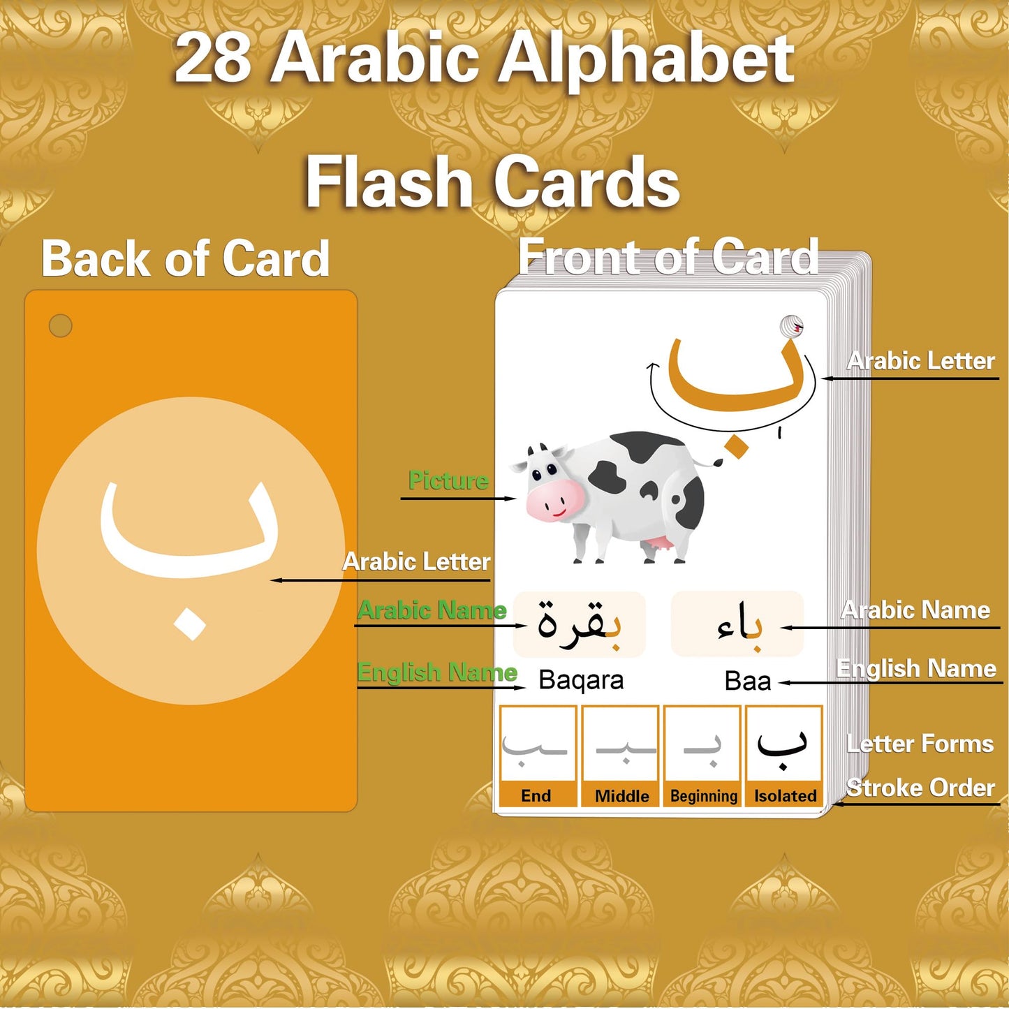 Yiydong Arabic Flash Cards For Beginners, Learn Arabic Alphabet For Kids, Teens And Adults, Educational Language Learning Resour