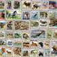 Eurographics (Eurhr North American Wildlife Vintage Stamps 500Piece Puzzle 500Piece Jigsaw Puzzle