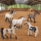 Wonwontoys 5Pcs Farm Animal Figure Horse Toys Knabstrupper Pinto Tennessee Camargue White Horse Table Decorations Children'S Cognitive Toys For Boys Girls Christmas Scene Decoration Cake Decoration