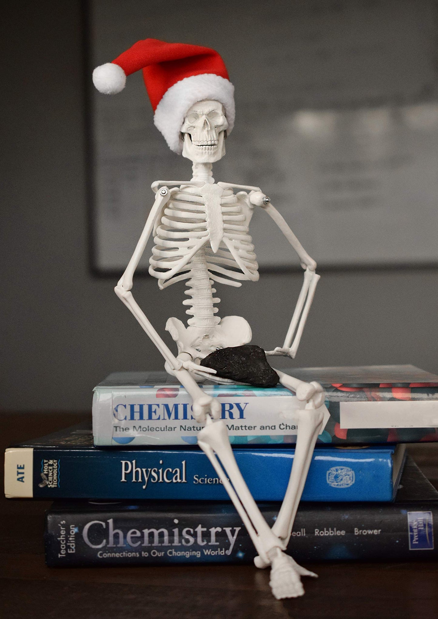 Hbarsci Dead Elf In The Lab - 17' Miniature Skeleton, Santa Hat & Christmas Coal For Scientist, Lab Tech, Lab Manager Teacher