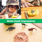 Kiwico Dinosaur Fossil Dig Kit For Kids Age 6+ | Excavate & Build Dinosaur Skeleton, Make Fossil Impressions | Stem Paleontology
