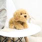 Nat And Jules Laying Large Labradoodle Dog Children'S Plush Stuffed Animal Toy