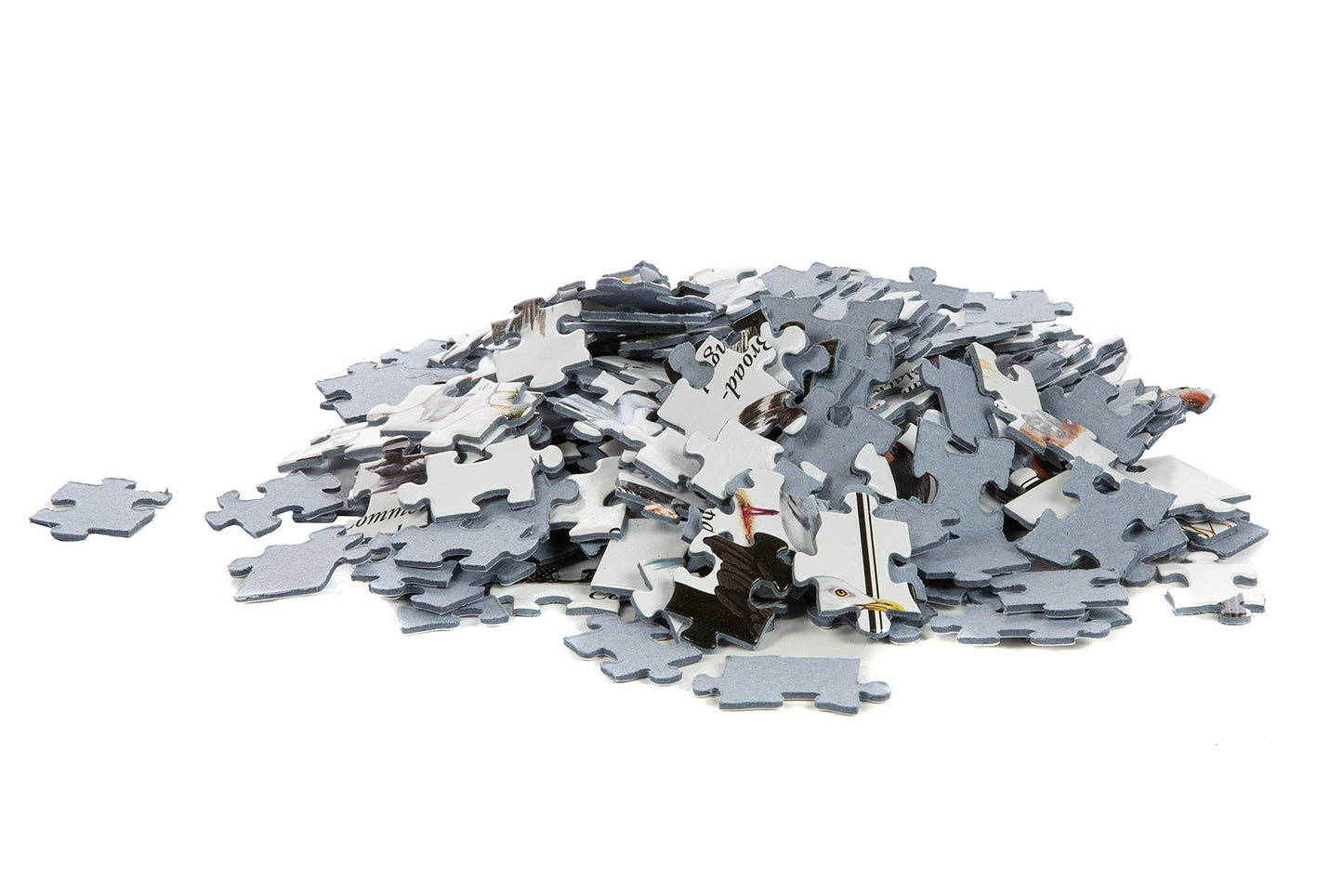 Heritage Puzzle 550-Piece Jigsaw - Birds of The Great Lakes - Educational Nature Puzzle - 18" x 24" - Made in U.S.A.