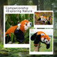 Chongker Red Panda Plush Toy, Large Weighted Stuffed Animal, Handmade Polyester, Cute Red and Brown, Model BPWild-A0001