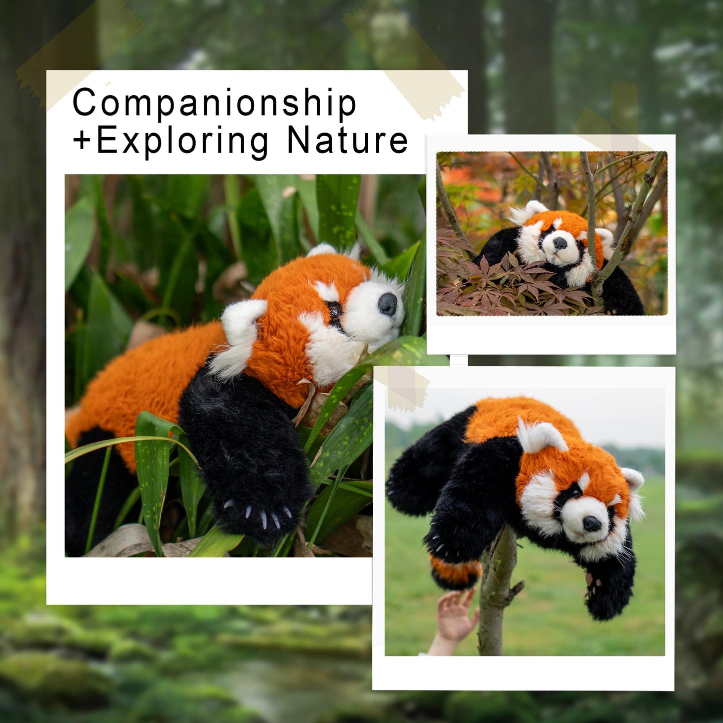 Chongker Red Panda Plush Toy, Large Weighted Stuffed Animal, Handmade Polyester, Cute Red and Brown, Model BPWild-A0001