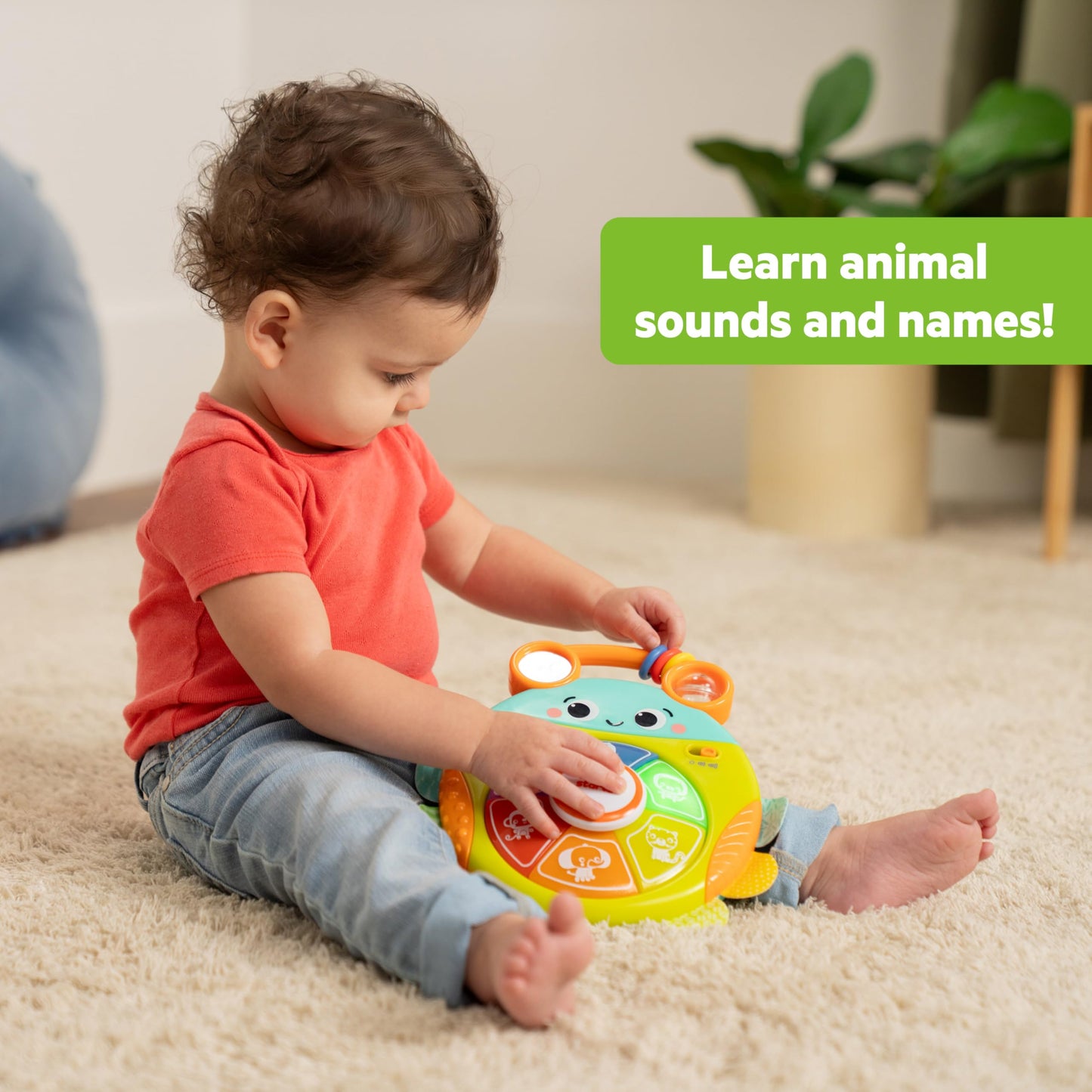 Bright Starts Safari Surprise Light-Up Baby Toy, Multisensory, Small, Plastic, Model 17161-000, Unisex, 6 Months+