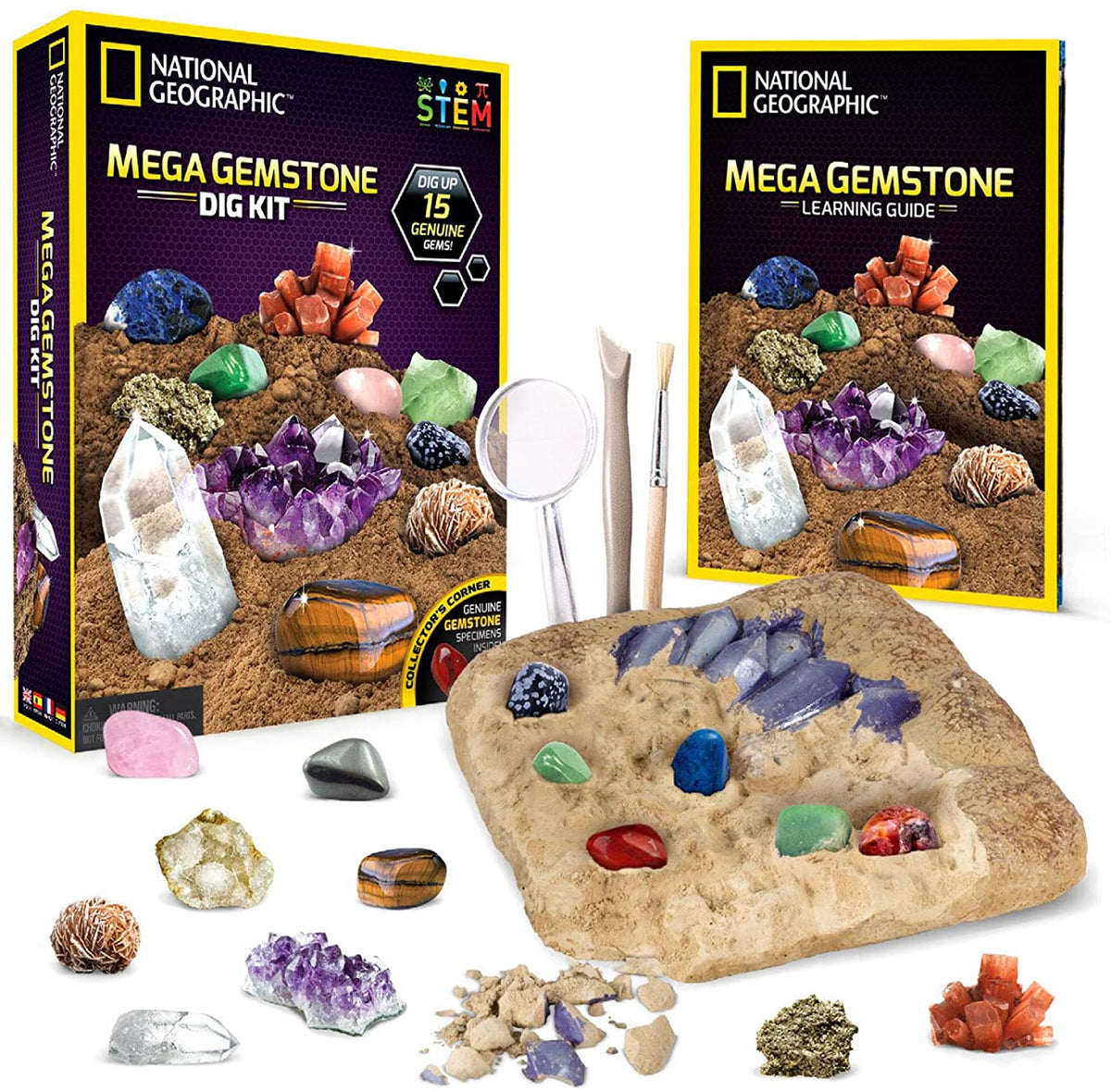 Young Paleontologist Mine