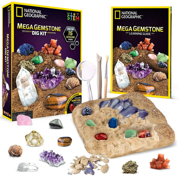 Young Paleontologist Mine