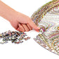 Bgraamiens Puzzle-Flowing Rainbow Lines-1000 Pieces Round Puzzle Color Challenge Jigsaw Puzzles For Adults And Kids