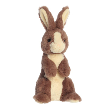 Aurora Vibrant Spring Sitting Pretty Bunny Stuffed Animal - Decorative Charm - Endless Fun - Brown 14 Inches