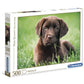 Clementoni - 35072 - Collection Puzzle - Chocolate Puppy - 500 Pieces - Made In Italy - Jigsaw Puzzles For Adult