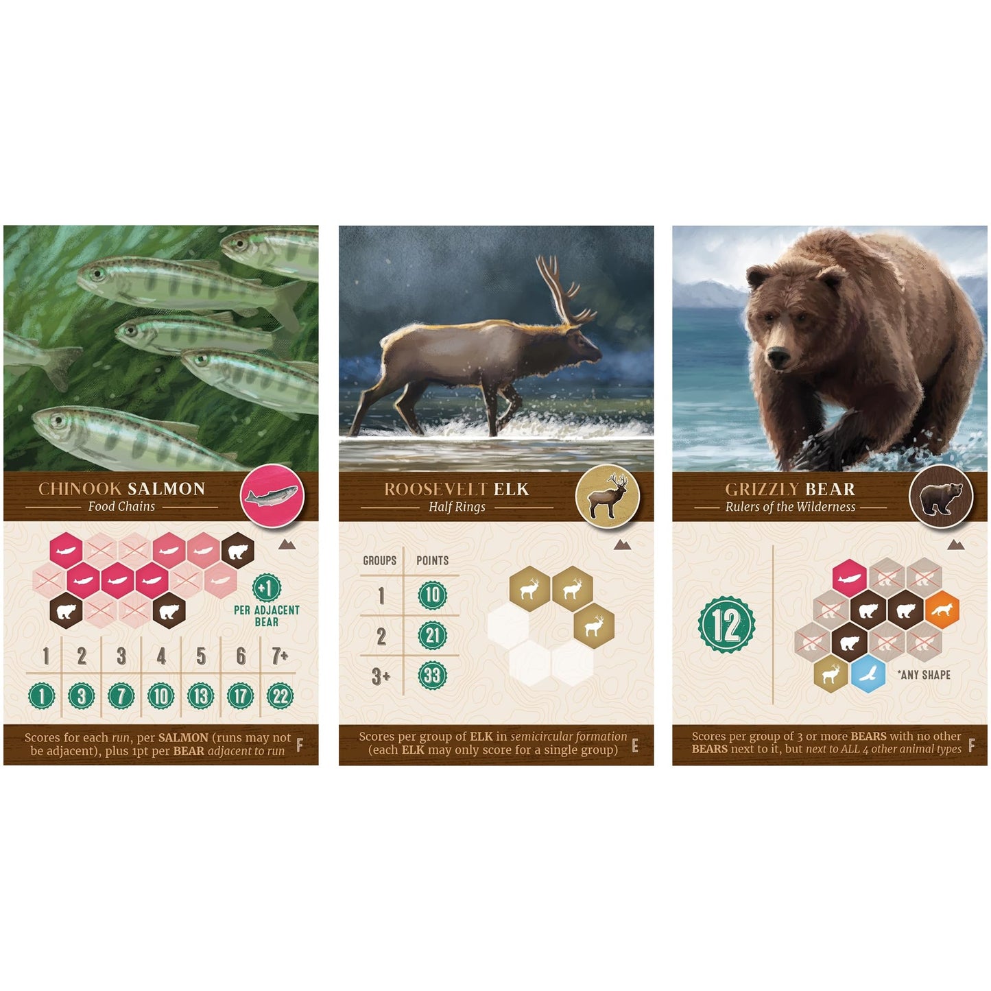 Aeg & Flatout Games | Cascadia: Landmarks - Expansion For Award-Winning Board Game, Cascadia | Easy To Learn | Quick To Play | Ages 10+ | Adds 5Th & 6Th Player