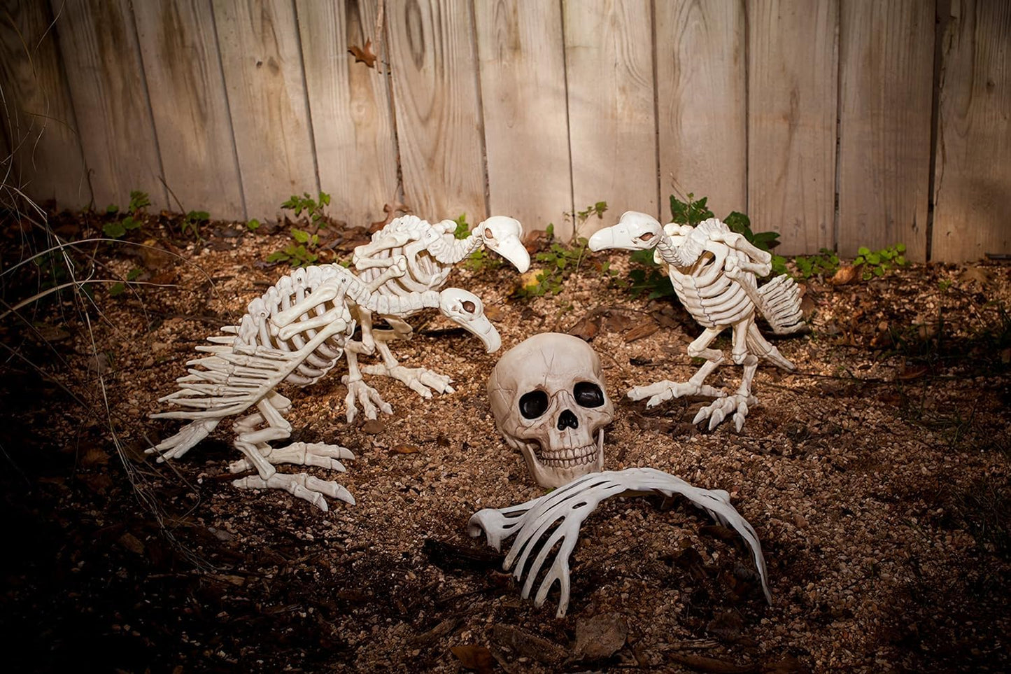 Crazy Bonez Skeleton Vulture
