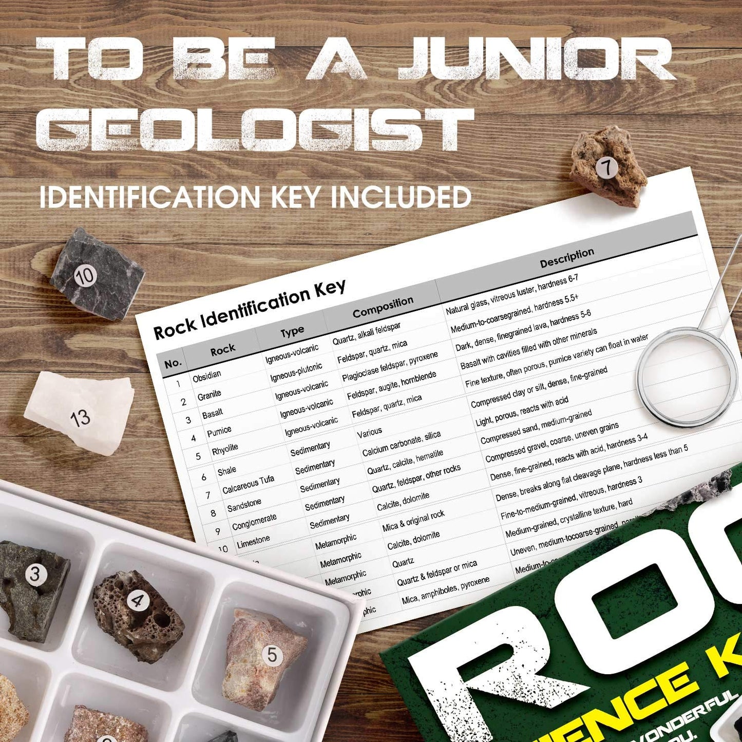 Xxtoys Rock Stone Colletction Science Kit Geology Kid Specimens Gift Presents 15Pcs Magnifier Included