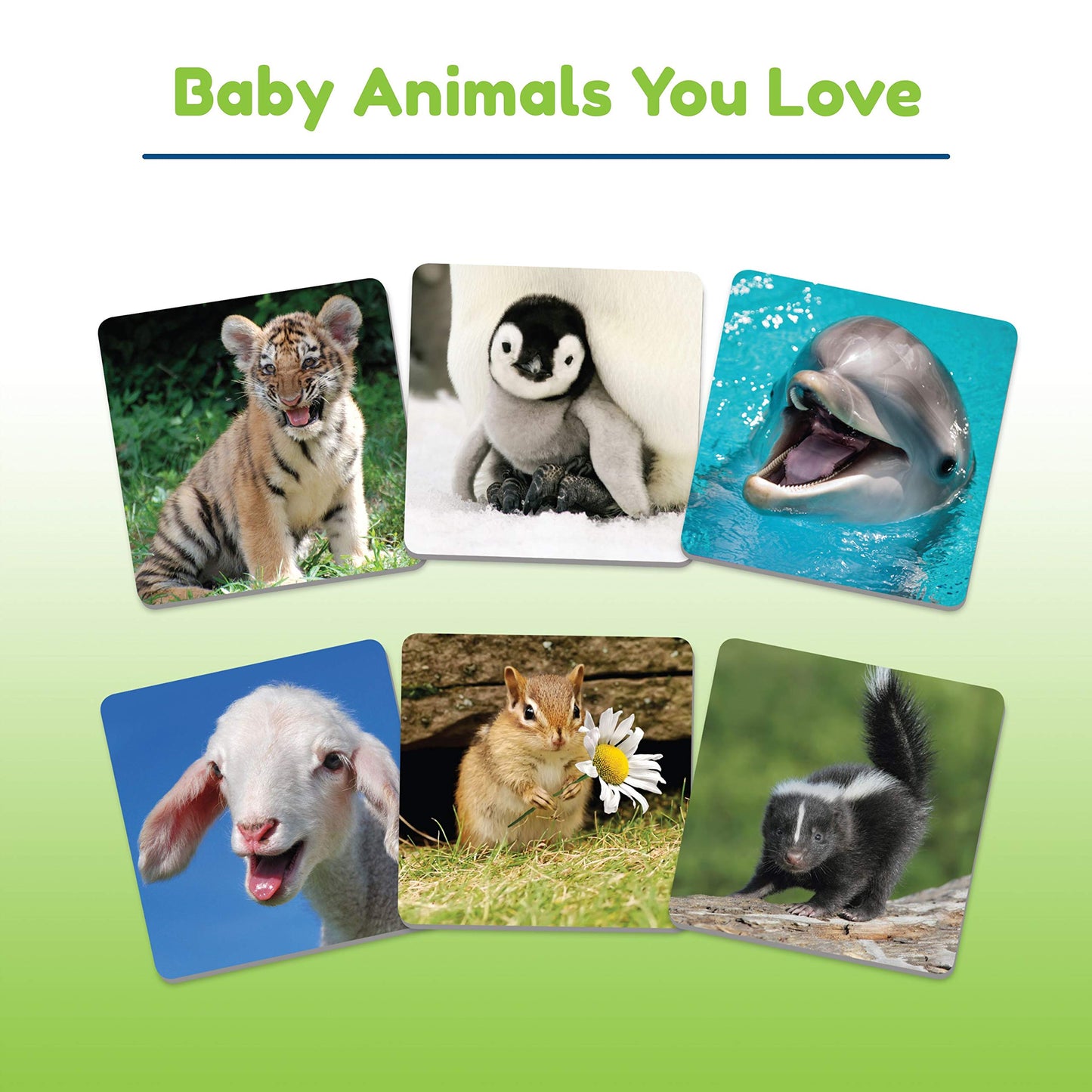 Wonder Forge Baby Animals Matching Game For Boys & Girls Age 3 To 5 - A Fun & Fast Animal Memory Game