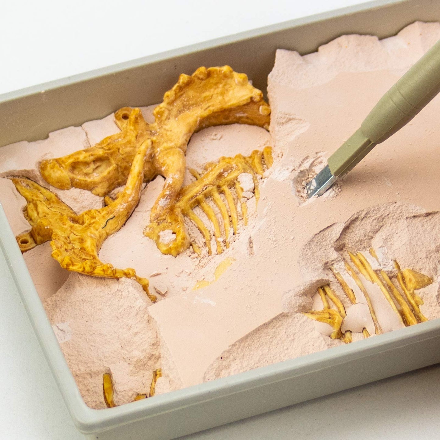 Science4You - Triceratops Fossil Digging Kit For Kids - Excavate And Assemble 10 Dinosaur Fossiles, Dinosaur Toys For Boys And Girls Age 6+, Dino Games, Dinosaur Gifts For 6+ Year Old Boys And Girls