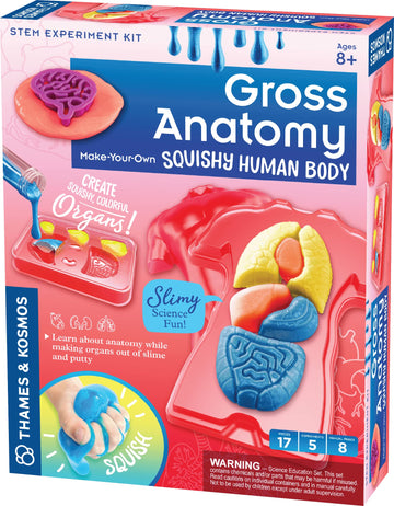 Thames & Kosmos Gross Anatomy: Make-Your-Own Squishy Human Body STEM Experiment Kit | Make Colorful Models of Human Organs with 