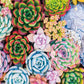 Buhah Succulent Jigsaw Puzzles Plant Puzzle 1000 Pieces For Adults Colorful Jigsaw Puzzles Botanical Puzzle Nature Collage Puzzl