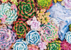Buhah Succulent Jigsaw Puzzles Plant Puzzle 1000 Pieces For Adults Colorful Jigsaw Puzzles Botanical Puzzle Nature Collage Puzzl
