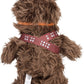 Star Wars 10 Inch Walk N Roar Chewbacca Plush