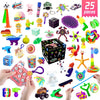 25 Pieces Large Fidget Mystery Box for Kids Girls & Boys - Fun Sensory Fidget Toys Bulk Variety Pack for Toddlers - Fidget Prize