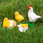 Life Cycle Set Life Cycle Of Chicken Toys Realistic Farm Animals Figurines Preschool Animals Figures Eduactional Project Diorama