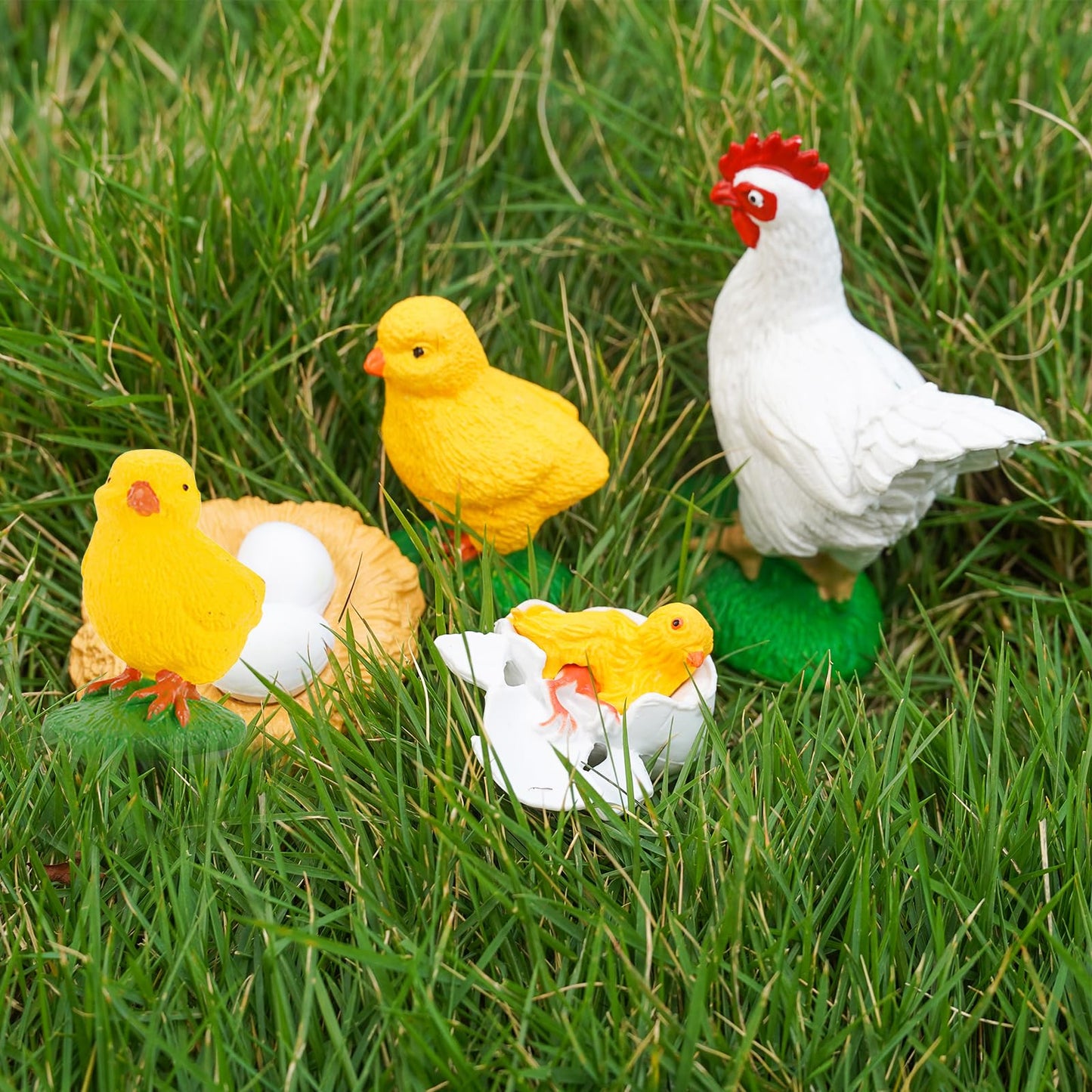 Life Cycle Set Life Cycle Of Chicken Toys Realistic Farm Animals Figurines Preschool Animals Figures Eduactional Project Diorama