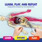 Human Anatomy Squishy Body Model - Science Kits For Kids Ages 4-8 - Stem Toys For 4 5 6 7 8 Year Old Boy Birthday Gift - Learnin