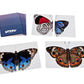SPARK INNOVATIONS Butterfly Wings Memory Cards Game  Montessori Picture Cards  Educational Kids Game  Preschool Games  Homeschooling Materials  Matching Games  Classroom Must Have