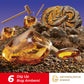 EDUMAN Amber Dig Kit  Artificial Insect Resin Specimens Excavation Kit  Dig Up 6 Bugs Fossil Kit  STEM Geographic Educational Toys  Science Kits for Kids Age 6-8-12  Birthday Gifts for Boys and Girls