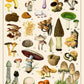 Vintage Mushroom Puzzle 1000 Pieces For Adult, Vintage Fungi Jigsaw Puzzle Of 25 Edible Mushrooms, Champignons Plant Puzzle For Mycophile