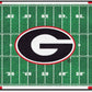 Fan Mats University of Georgia Football Field Runner/30 x72