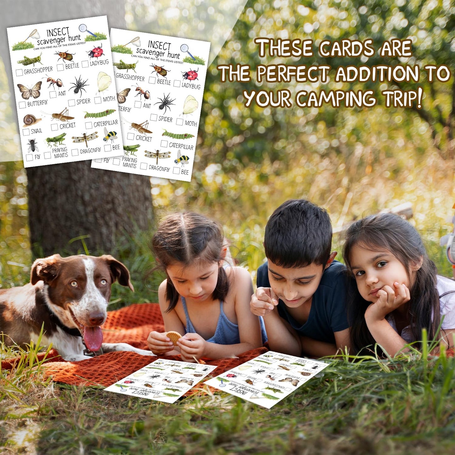 Ltazhyi Insect Scavenger Hunt Cards Set Of 30 Pcs, Nature Treasure Hunt Game For Family Friends, Outdoor Holiday Party Game Find