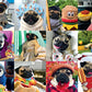 Doug The Pug Pug Life: 1000 Piece Puzzle