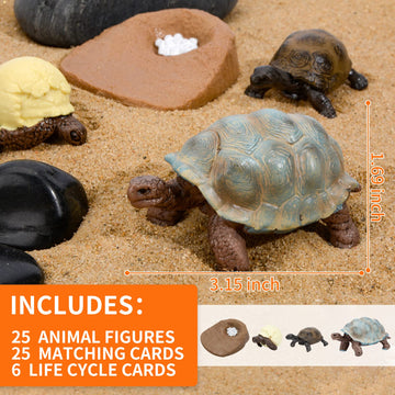 Mikneke Montessori Life Cycle Animal Figurines Learning & Education Toys, Plastic Turtle Chicken Ant Plant Mantis Salmon Toys For Kids, Preschool Learning Activities For Toddlers