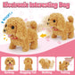 Tsomtto Interactive Dog Toy Walking Barking Veterinarian Playset for Kids Puppy Stuffed Animal with Carrier & Accessories Preten