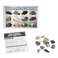Educational Insights Complete Rock, Mineral, and Fossil Collection - 57 Pieces, Large, Multi, Model 5210, Ages 8+
