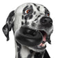 Goughnuts - Dog Toys for Aggressive Chewers | Virtually Indestructible Dog Toys for Medium Breeds Such as Pit Bulls | Heavy Duty Dog Toy | Black-New