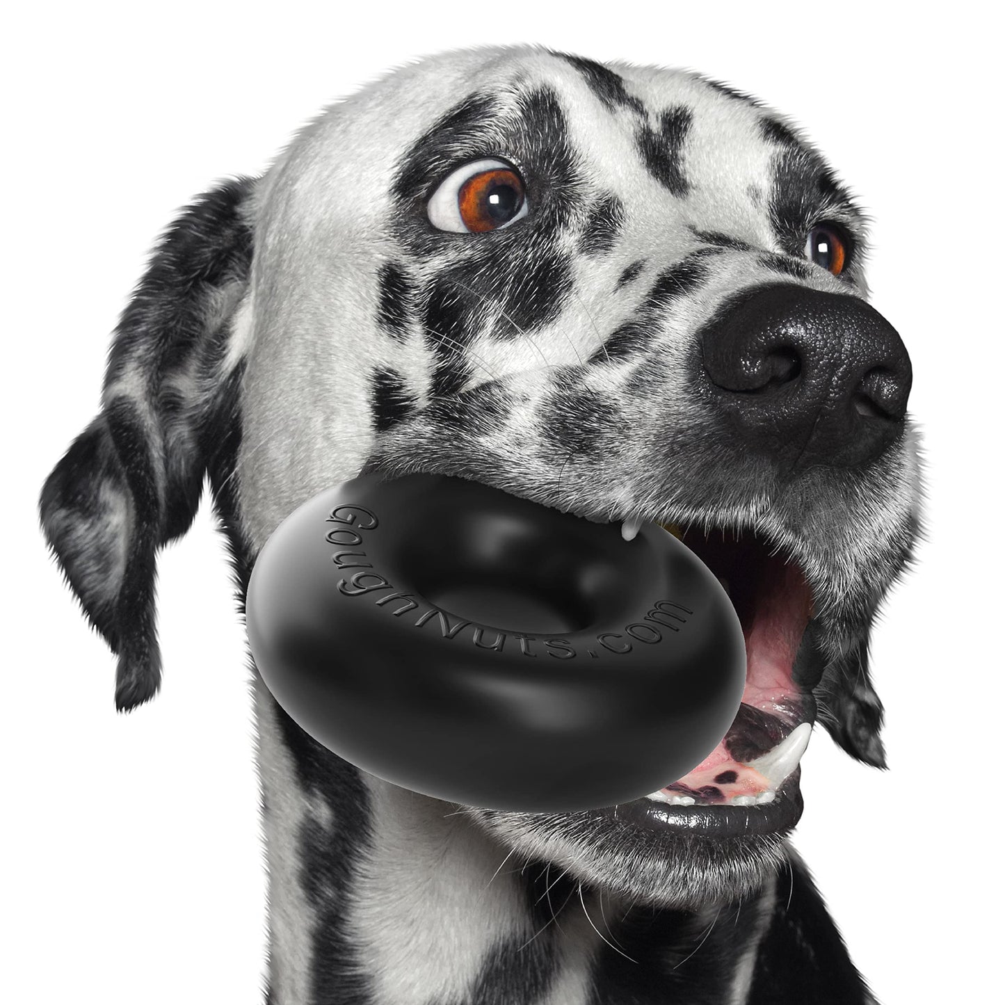 Goughnuts - Dog Toys for Aggressive Chewers | Virtually Indestructible Dog Toys for Medium Breeds Such as Pit Bulls | Heavy Duty Dog Toy | Black-New