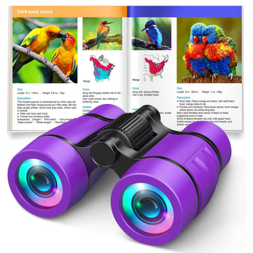 Girls Toys Age 3-7: Let'S Go! Compact Bird Watching Binoculars For Kids Ages 3 4 5 6 7 Year Old Girl Boy Gifts Idea Outside Travel Educational Toy For Kid Preschool Toddler Easter Stuffers