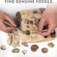 Young Paleontologists Mine