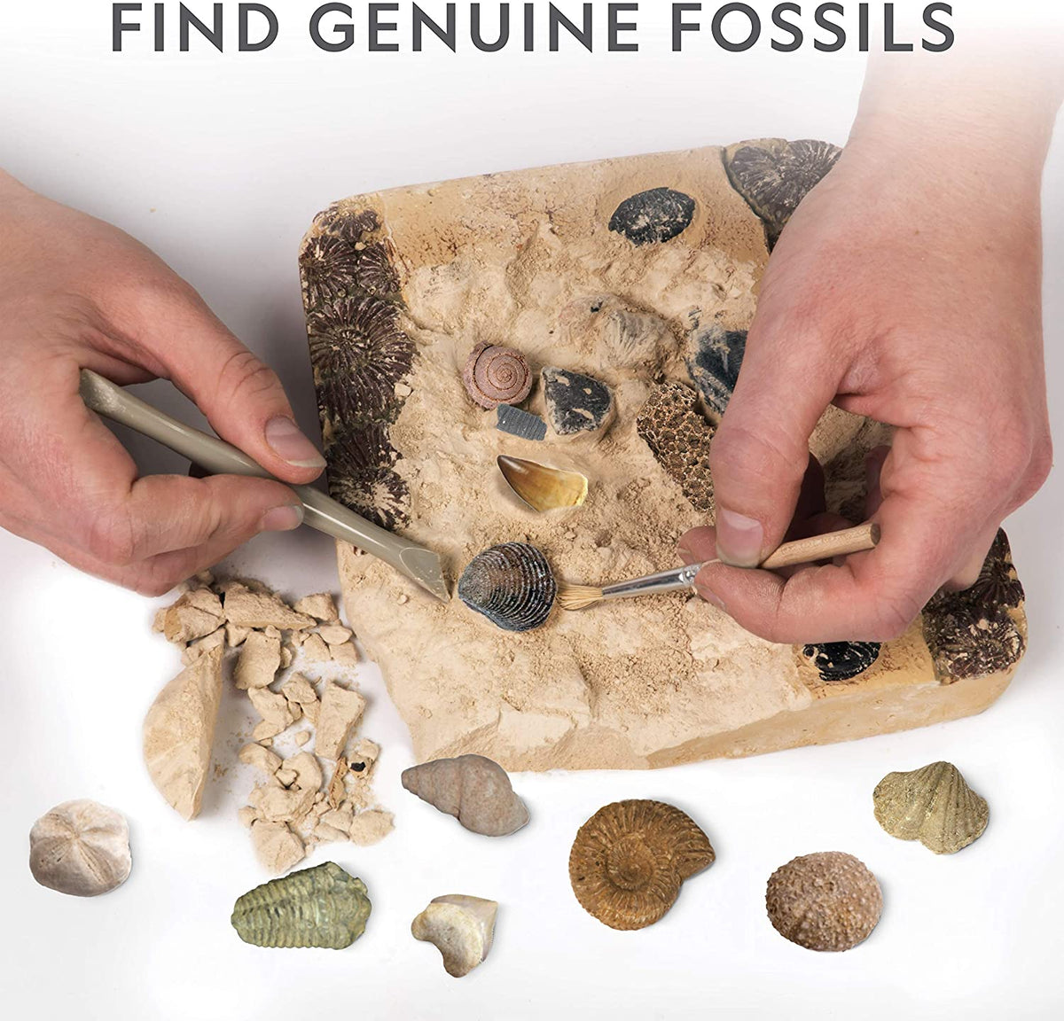 Young Paleontologists Mine