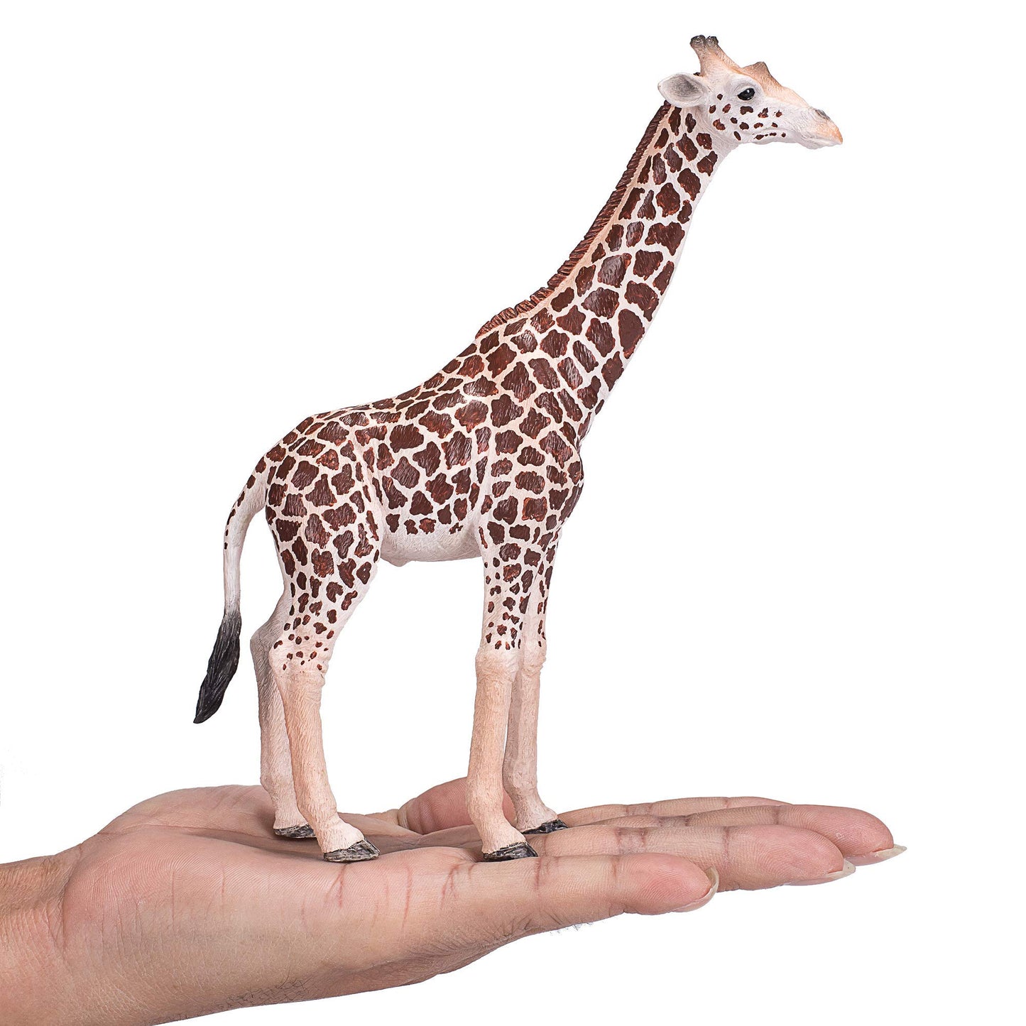 Mojo Giraffe Realistic International Wildlife Hand Painted Toy Figurine (2020 Design), Multi (381008)