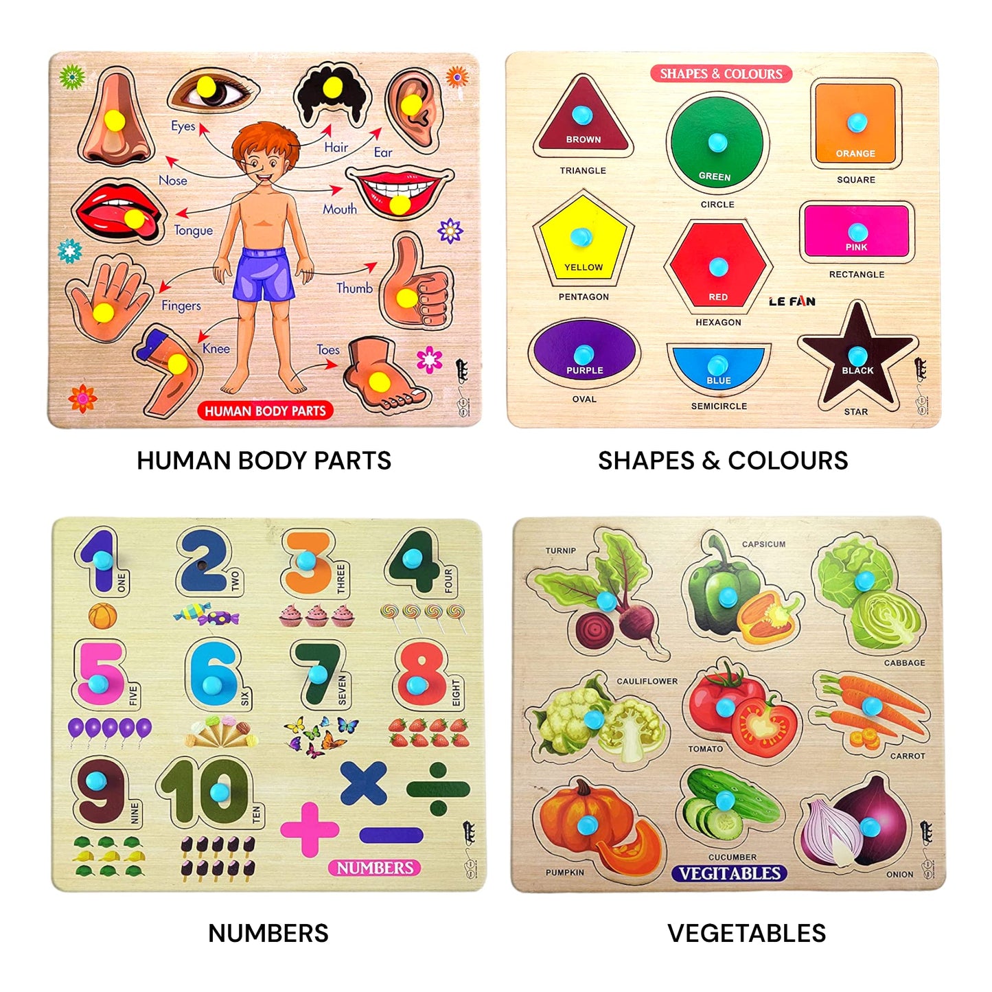 Appster Educational Colorful Animals, Fruits, Vegetables, Birds, Numbers, Body Parts, Shape Color & Sea Animals Wooden Puzzle To