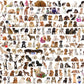 The World Of Dogs