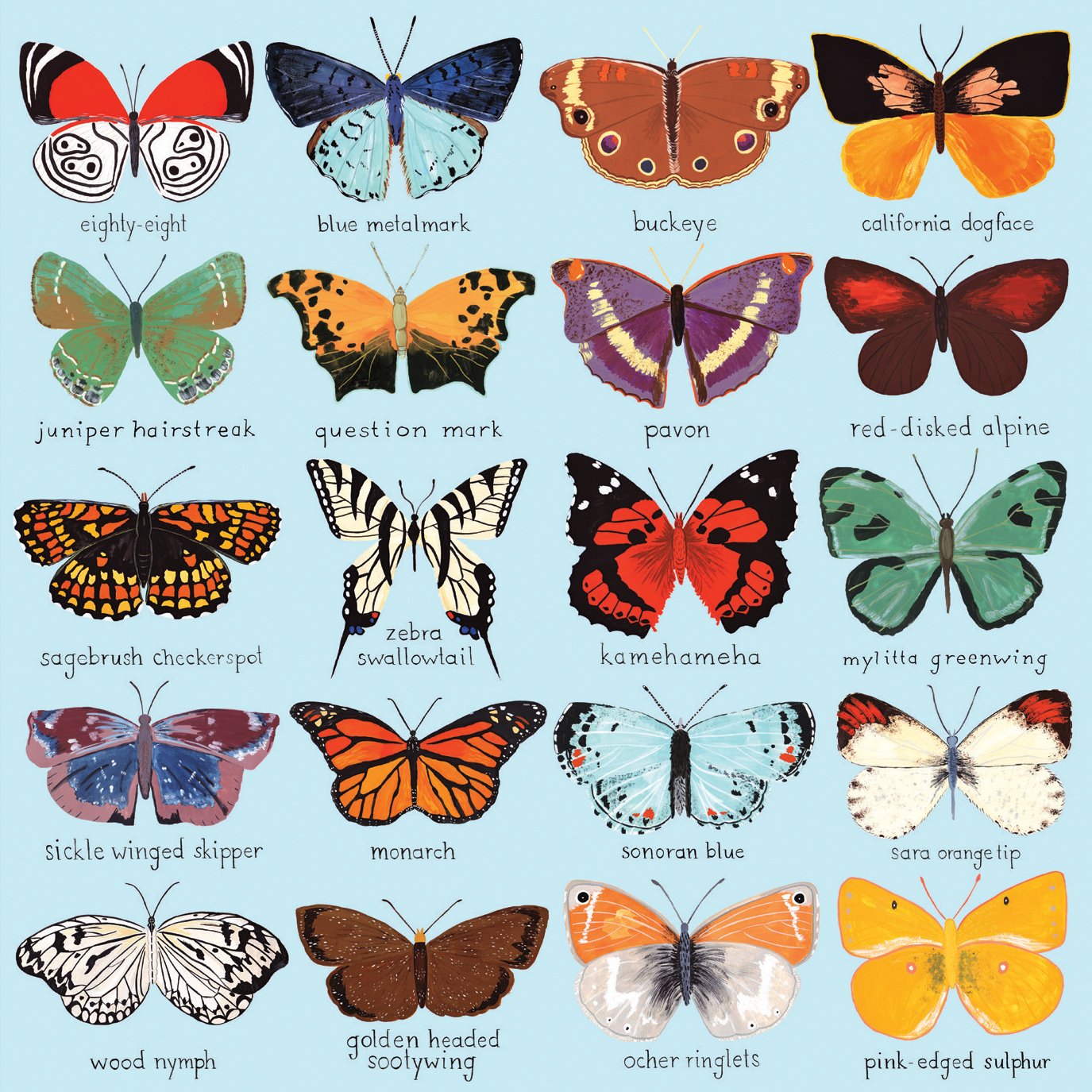 Mudpuppy Butterflies Of North America 500 Piece Family Jigsaw Puzzle, Butterfly Puzzle With Recognizable Butterflies From Around
