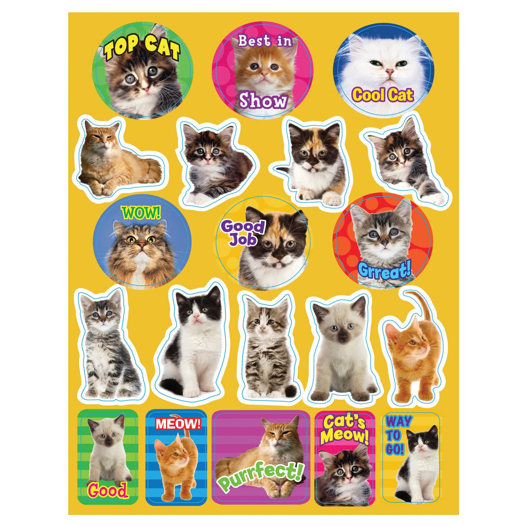 Eureka Motivational Cats Stickers
