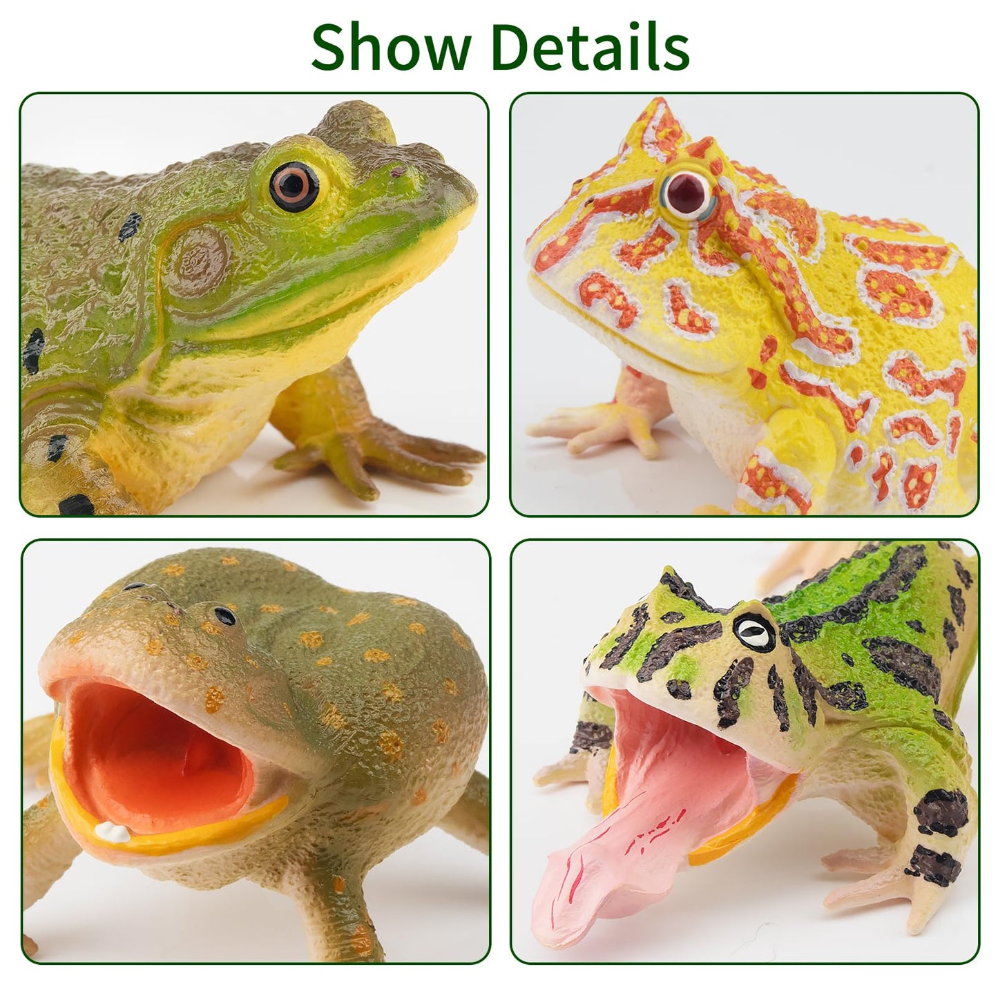 Toymany Frog Toy Figures Set - 10pcs Realistic Plastic Rainforest Animals - Model QINGWA01-10P001 - Perfect for Cake Toppers and Decor