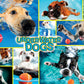 Buffalo Games Underwater Dogs 1000 Piece Jigsaw Puzzle - Multi Color, Paper Material, Model 12603